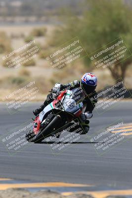 media/May-14-2023-SoCal Trackdays (Sun) [[024eb53b40]]/Turn 5 Tree of Life (1125am)/